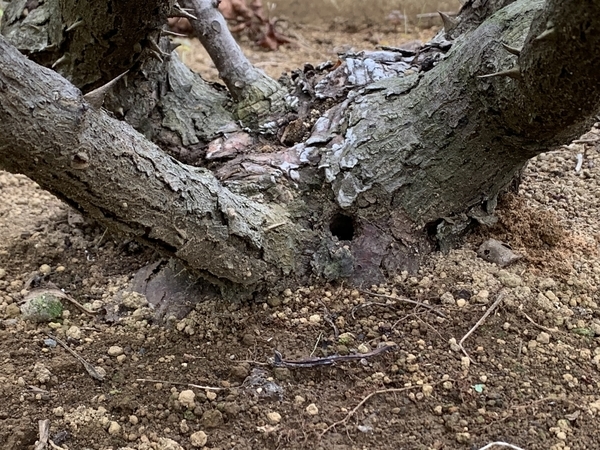 f:id:fuwari-x:20200930093659j:plain f:id:fuwari-x:20200930093659j:plain