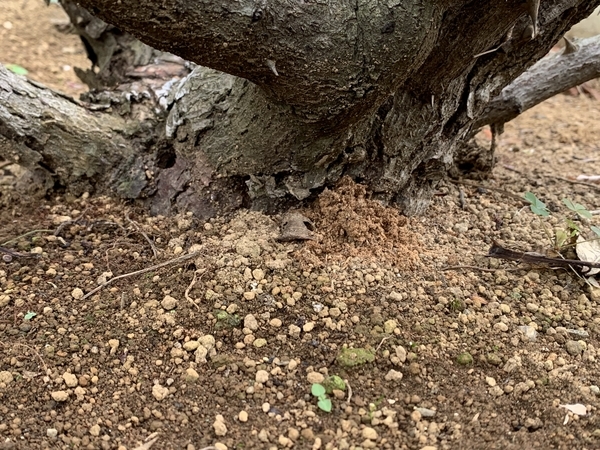 f:id:fuwari-x:20200930093744j:plain f:id:fuwari-x:20200930093744j:plain