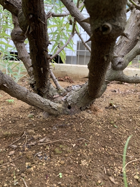 f:id:fuwari-x:20200930093755j:plain f:id:fuwari-x:20200930093755j:plain