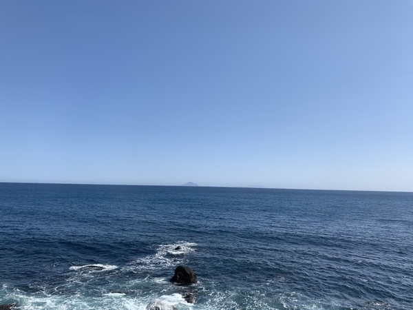 f:id:fuwari-x:20210316112318j:plain