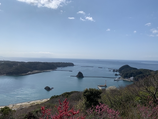 f:id:fuwari-x:20210316130642j:plain