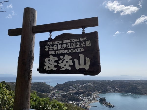 f:id:fuwari-x:20210316130654j:plain