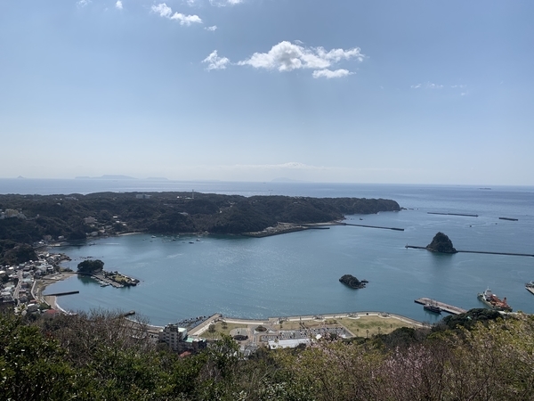 f:id:fuwari-x:20210316130755j:plain
