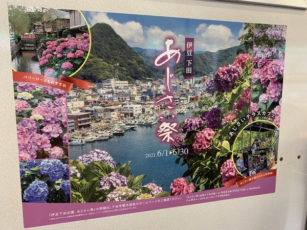 f:id:fuwari-x:20210621125232j:plain