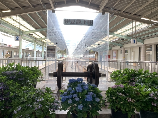 f:id:fuwari-x:20210621125306j:plain