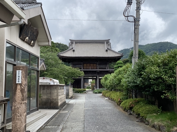 f:id:fuwari-x:20210623150008j:plain