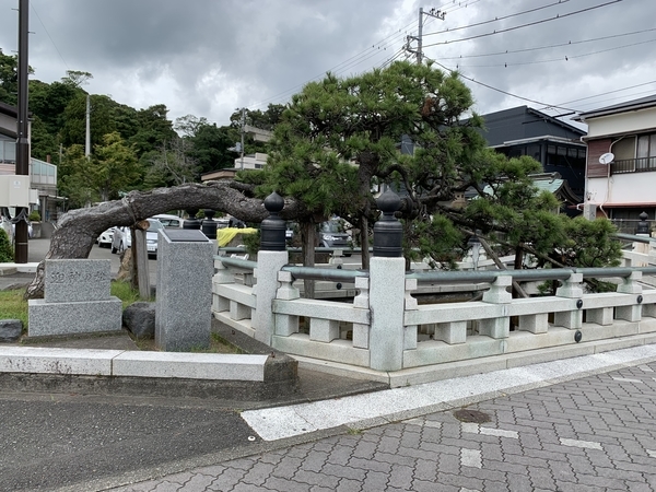 f:id:fuwari-x:20210623150103j:plain