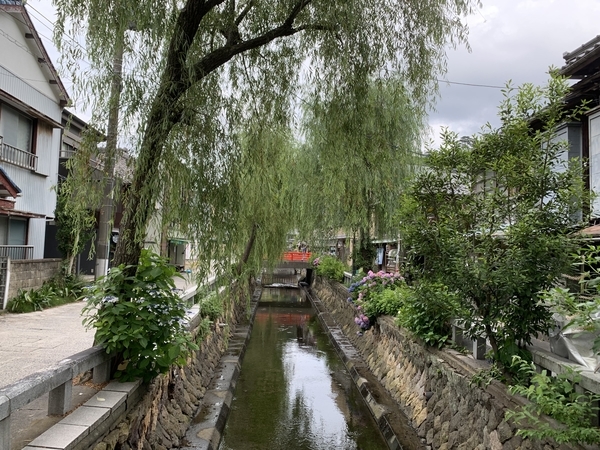 f:id:fuwari-x:20210623151208j:plain