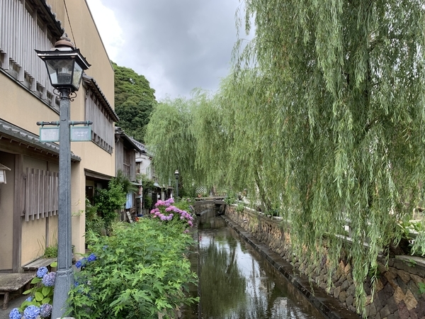 f:id:fuwari-x:20210623151238j:plain