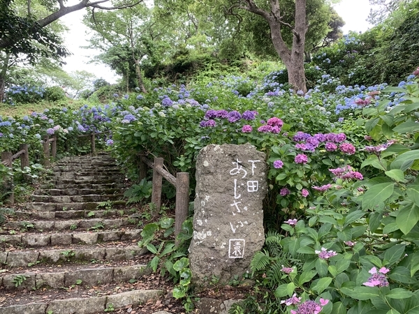 f:id:fuwari-x:20210623151552j:plain