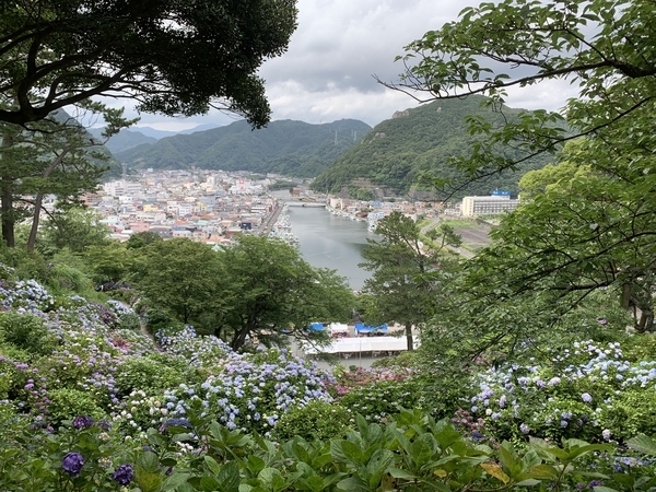 f:id:fuwari-x:20210623151912j:plain