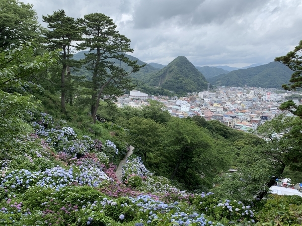 f:id:fuwari-x:20210623151925j:plain