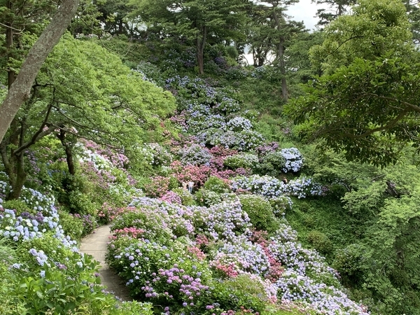 f:id:fuwari-x:20210623151940j:plain