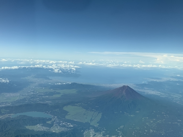 f:id:fuwari-x:20210726140509j:plain