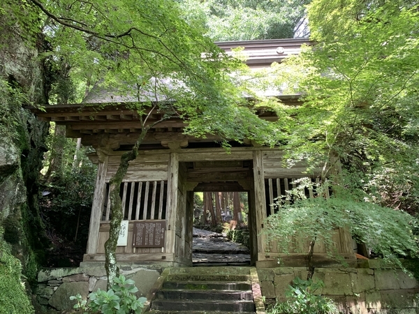 f:id:fuwari-x:20210726140958j:plain