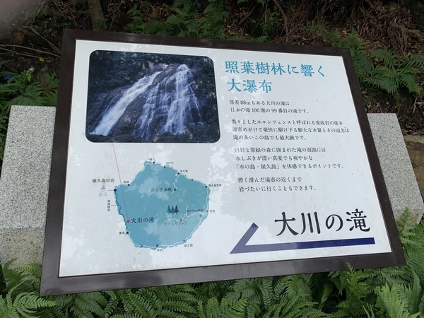 f:id:fuwari-x:20210823093555j:plain