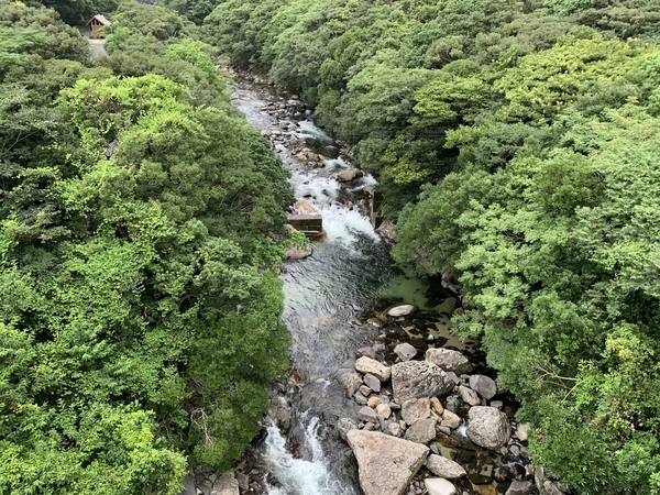 f:id:fuwari-x:20210823093709j:plain