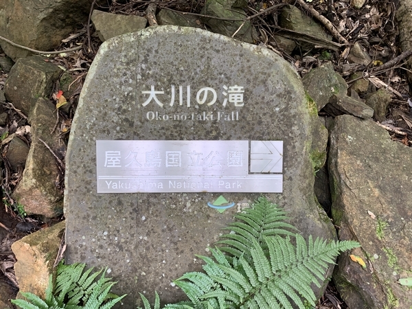 f:id:fuwari-x:20210823093802j:plain