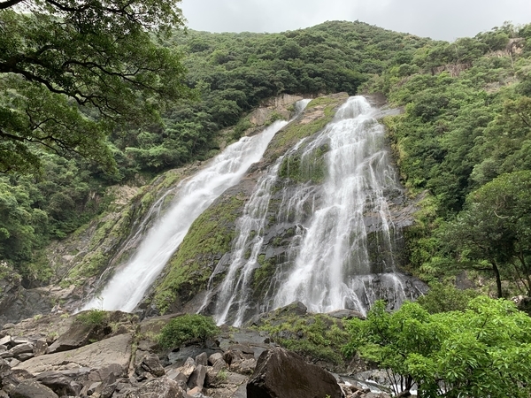f:id:fuwari-x:20210823093828j:plain