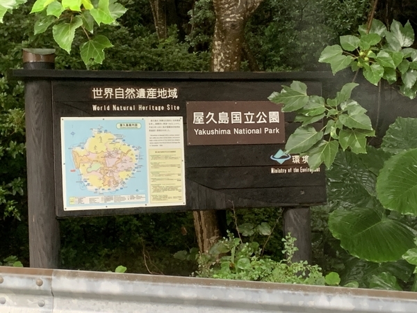 f:id:fuwari-x:20210906135849j:plain