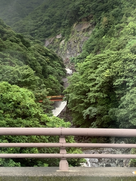 f:id:fuwari-x:20210906135857j:plain