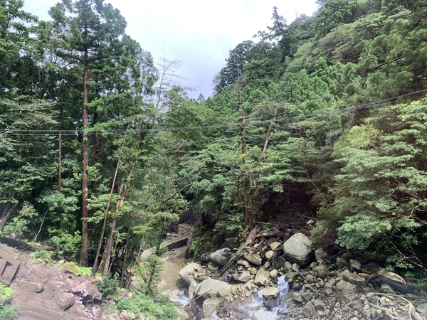 f:id:fuwari-x:20210910122027j:plain