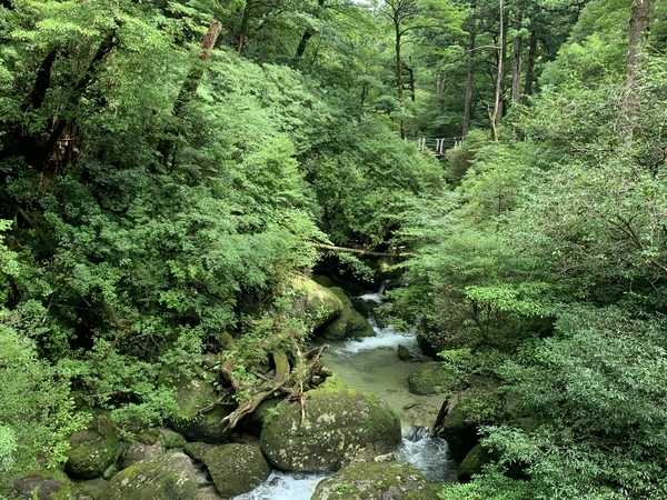 f:id:fuwari-x:20210910124334j:plain
