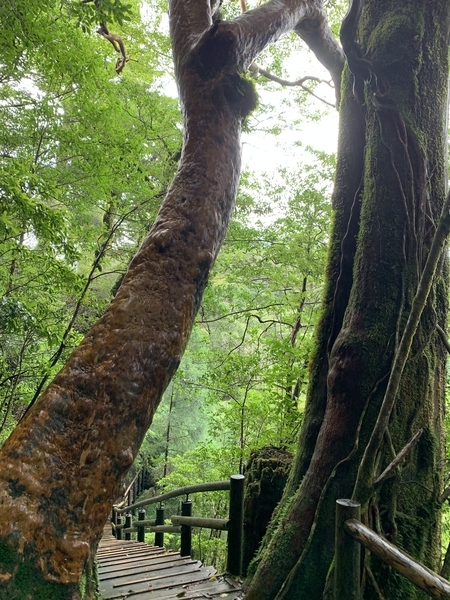 f:id:fuwari-x:20210910124513j:plain