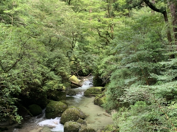 f:id:fuwari-x:20210910130807j:plain
