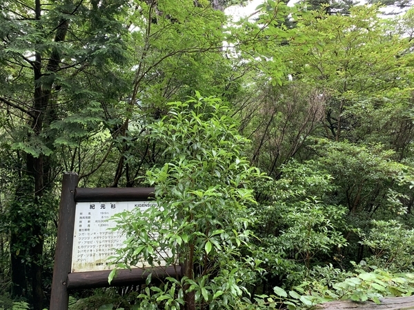 f:id:fuwari-x:20210922110808j:plain