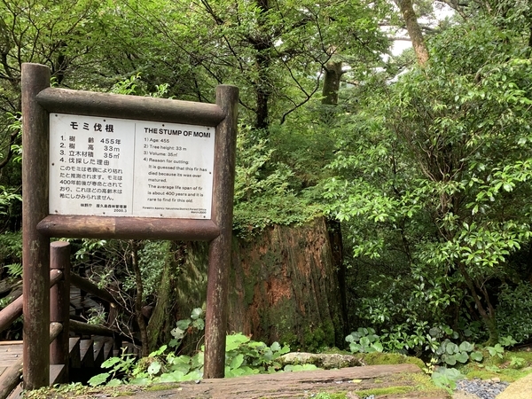f:id:fuwari-x:20210922110828j:plain