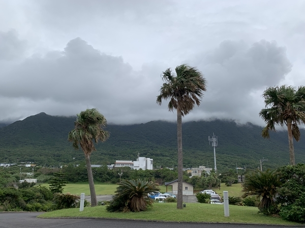 f:id:fuwari-x:20210924144812j:plain