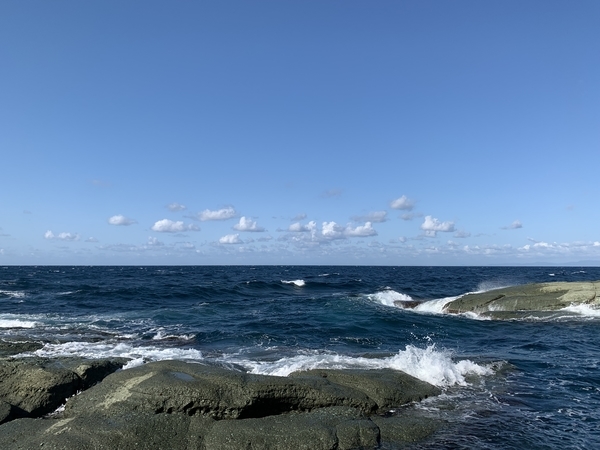 f:id:fuwari-x:20211018095944j:plain