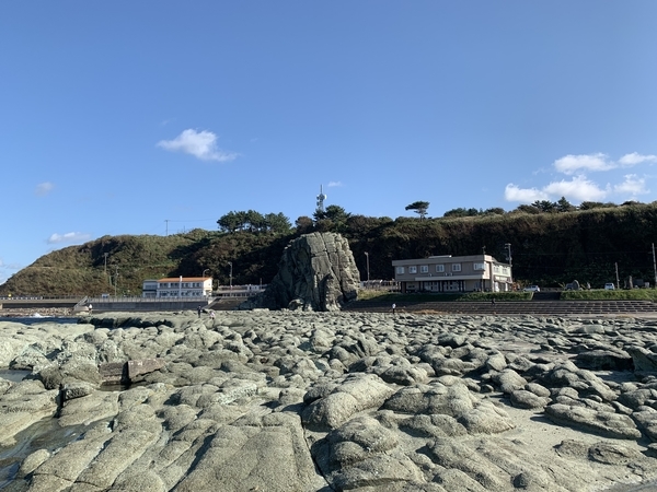f:id:fuwari-x:20211018100135j:plain