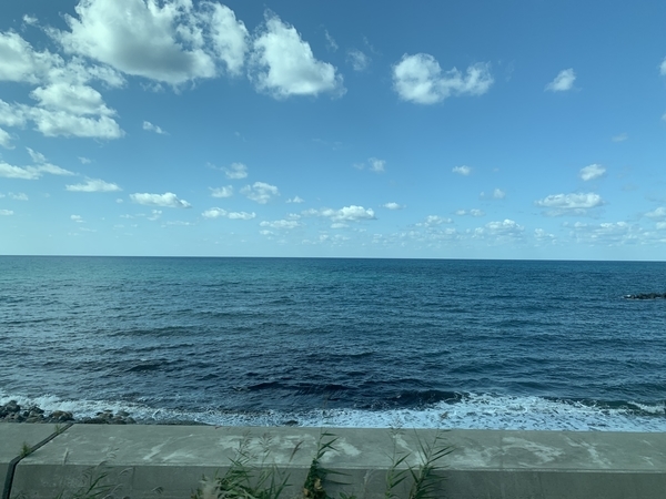 f:id:fuwari-x:20211104122712j:plain