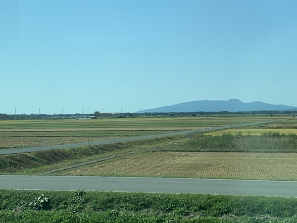 f:id:fuwari-x:20211104122912j:plain