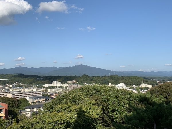 f:id:fuwari-x:20211104134918j:plain