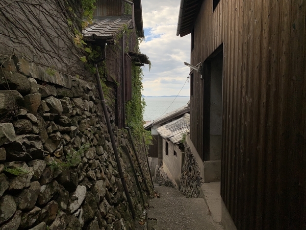 f:id:fuwari-x:20211119152803j:plain