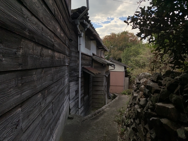 f:id:fuwari-x:20211119152824j:plain