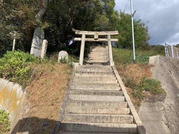 f:id:fuwari-x:20211119152935j:plain