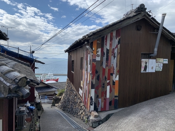 f:id:fuwari-x:20211119153023j:plain