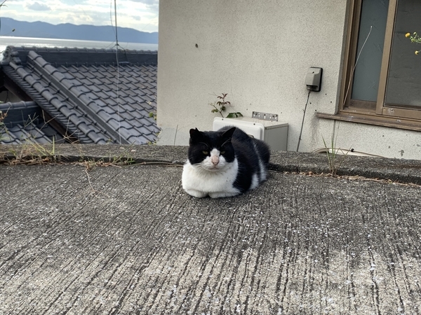f:id:fuwari-x:20211119153637j:plain