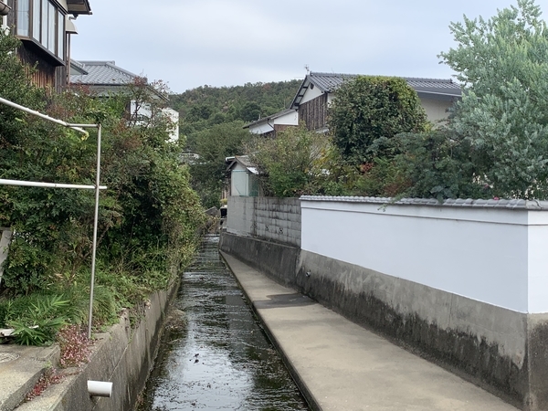 f:id:fuwari-x:20211125123927j:plain