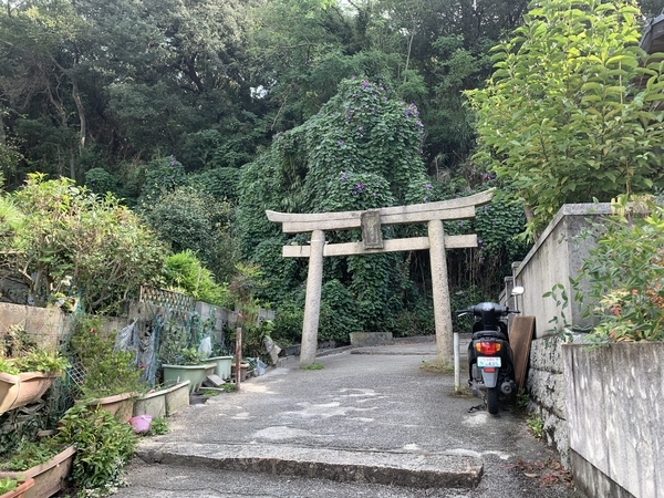 f:id:fuwari-x:20211125153513j:plain