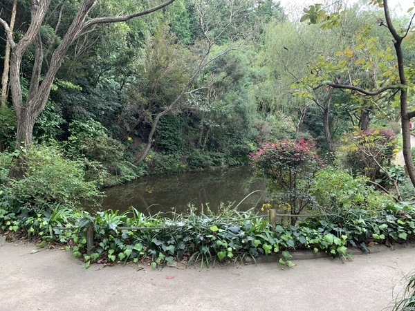 f:id:fuwari-x:20211130091610j:plain