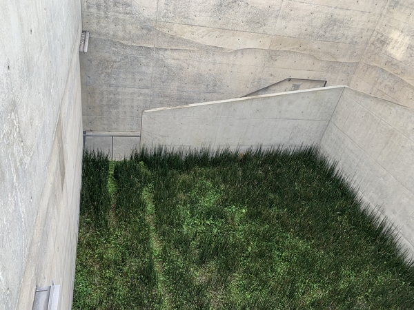 f:id:fuwari-x:20211130144048j:plain