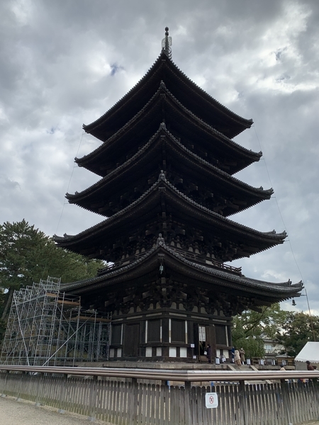 f:id:fuwari-x:20211207104019j:plain