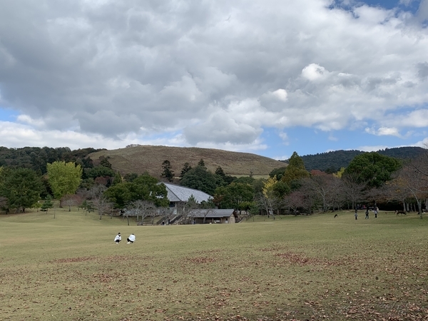f:id:fuwari-x:20211207104133j:plain