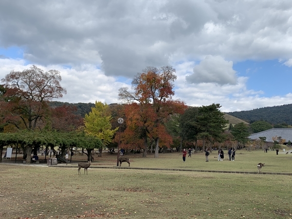 f:id:fuwari-x:20211207104142j:plain