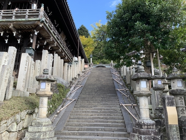 f:id:fuwari-x:20211208122925j:plain